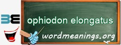 WordMeaning blackboard for ophiodon elongatus